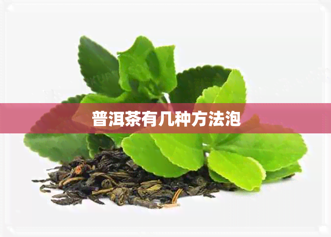 普洱茶有几种方法泡