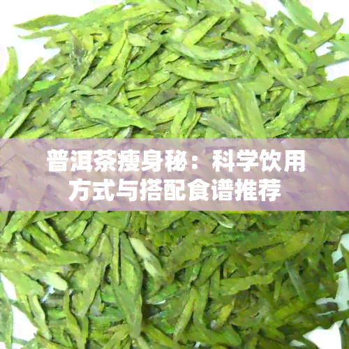 普洱茶瘦身秘：科学饮用方式与搭配食谱推荐