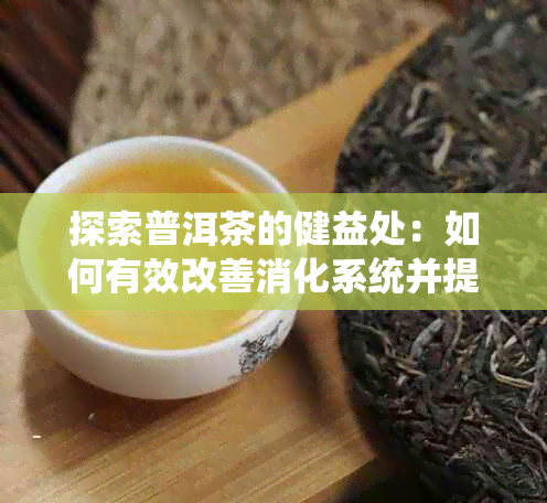 探索普洱茶的健益处：如何有效改善消化系统并提升整体健