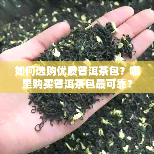 如何选购优质普洱茶包？哪里购买普洱茶包最可靠？