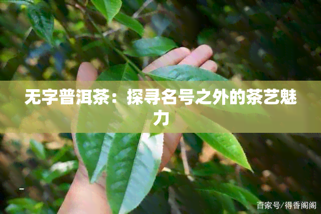 无字普洱茶：探寻名号之外的茶艺魅力