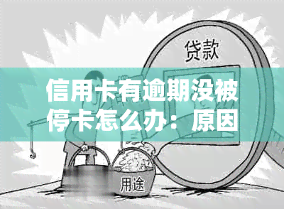 信用卡有逾期没被停卡怎么办：原因、恢复及对买房影响解析