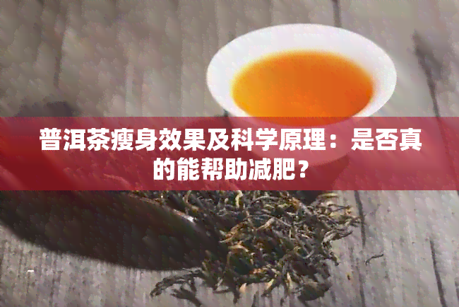 普洱茶瘦身效果及科学原理：是否真的能帮助减肥？