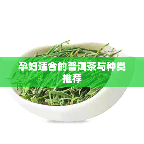 孕妇适合的普洱茶与种类推荐