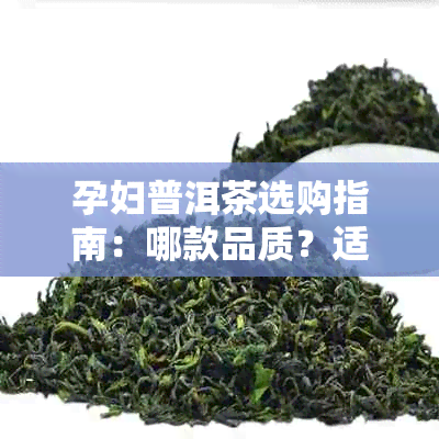 孕妇普洱茶选购指南：哪款品质？适合孕妇饮用的茶叶推荐及注意事项