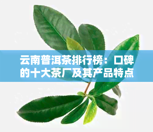 云南普洱茶排行榜：口碑的十大茶厂及其产品特点