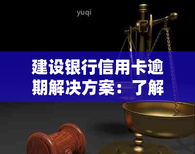 建设银行信用卡逾期解决方案：了解相关政策、处理步骤及如何避免逾期风险