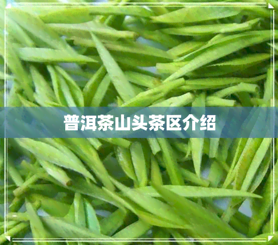 普洱茶山头茶区介绍