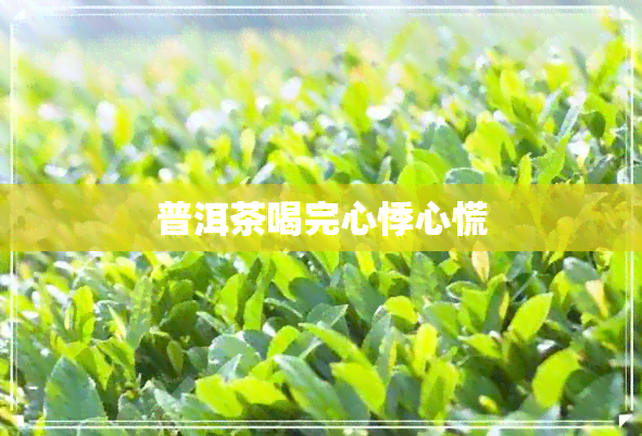 普洱茶喝完心悸心慌