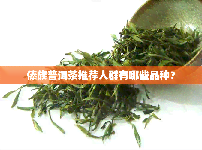 傣族普洱茶推荐人群有哪些品种？