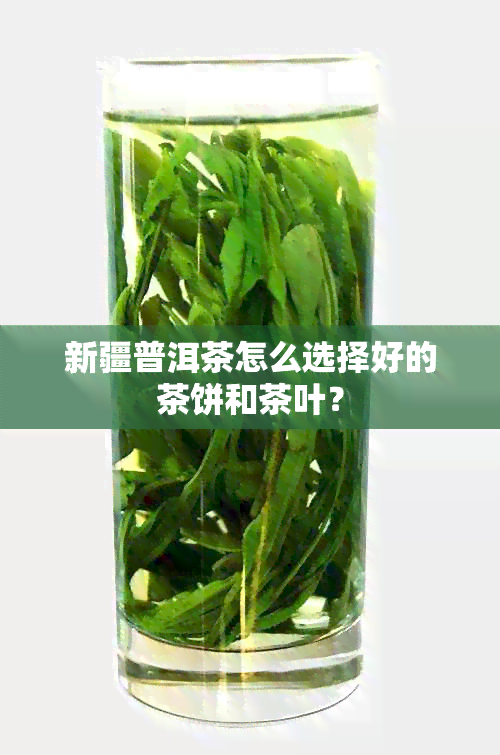 新疆普洱茶怎么选择好的茶饼和茶叶？