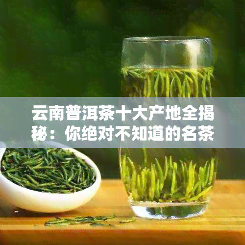 云南普洱茶十大产地全揭秘：你绝对不知道的名茶产地排名