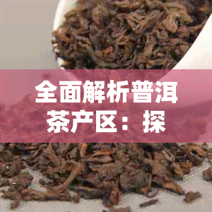 全面解析普洱茶产区：探索十大产地的特色与品质