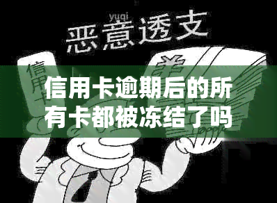 信用卡逾期后的所有卡都被冻结了吗？如何解冻这些被冻结的信用卡？