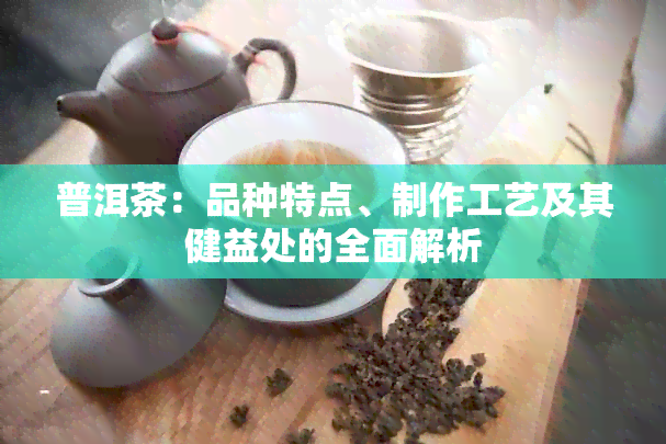 普洱茶：品种特点、制作工艺及其健益处的全面解析