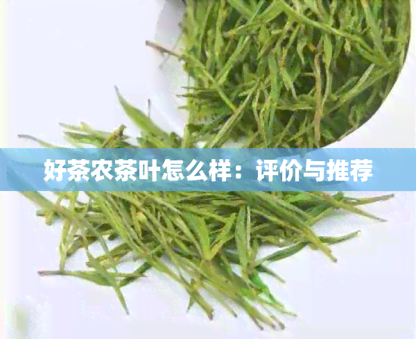 好茶农茶叶怎么样：评价与推荐