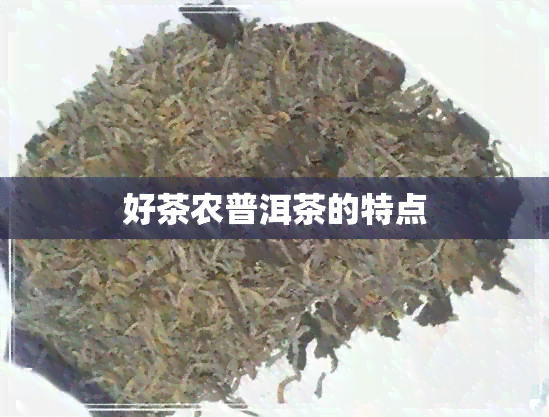 好茶农普洱茶的特点