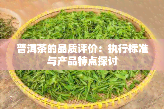 普洱茶的品质评价：执行标准与产品特点探讨