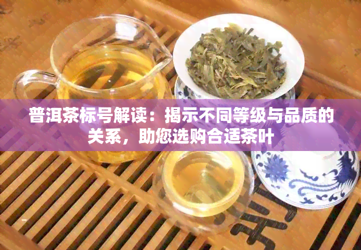 普洱茶标号解读：揭示不同等级与品质的关系，助您选购合适茶叶