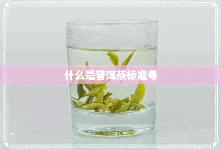 什么是普洱茶标准号