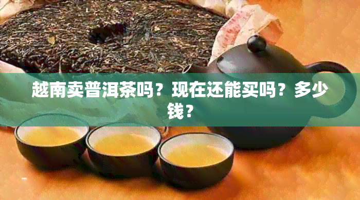 越南卖普洱茶吗？现在还能买吗？多少钱？