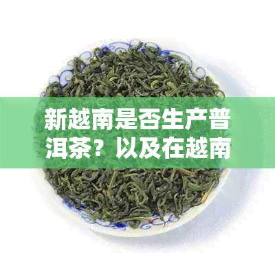 新越南是否生产普洱茶？以及在越南哪里可以购买到优质的普洱茶？