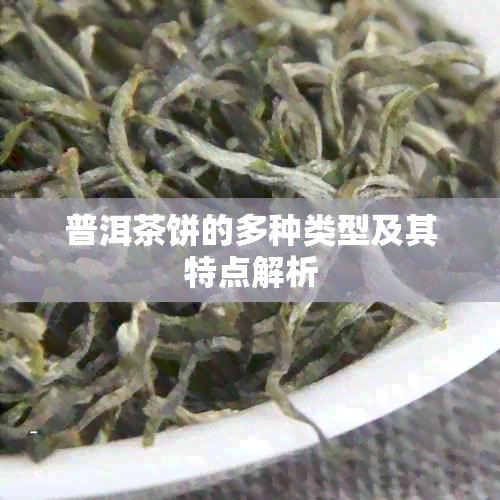 普洱茶饼的多种类型及其特点解析