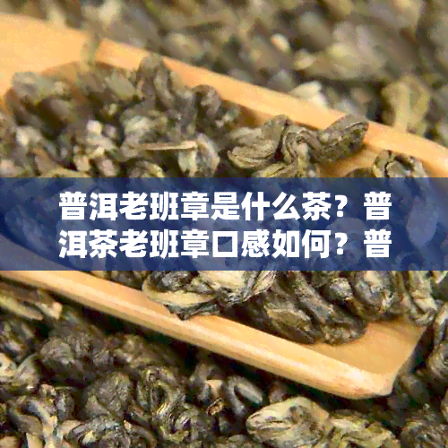 普洱老班章是什么茶？普洱茶老班章口感如何？普洱茶老班章是什么意思？