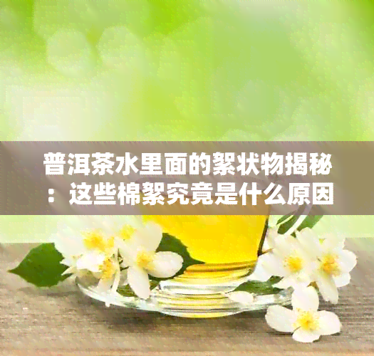 普洱茶水里面的絮状物揭秘：这些棉絮究竟是什么原因导致的？