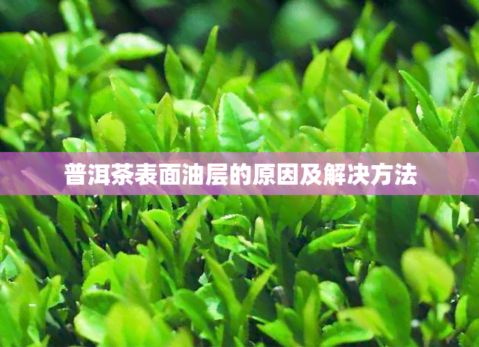 普洱茶表面油层的原因及解决方法