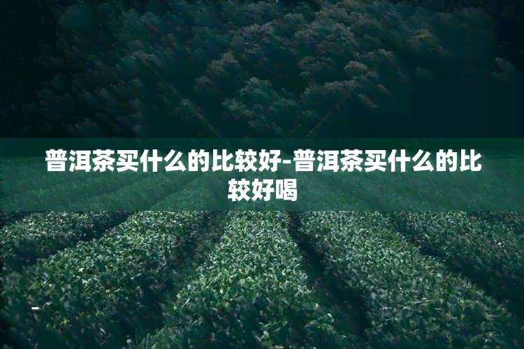 普洱茶买什么的比较好-普洱茶买什么的比较好喝