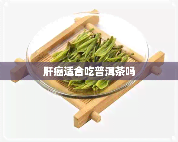 肝癌适合吃普洱茶吗