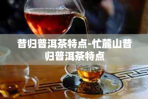 昔归普洱茶特点-忙麓山昔归普洱茶特点