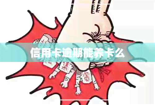 信用卡逾期能养卡么