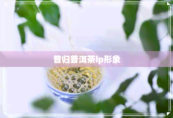 昔归普洱茶ip形象