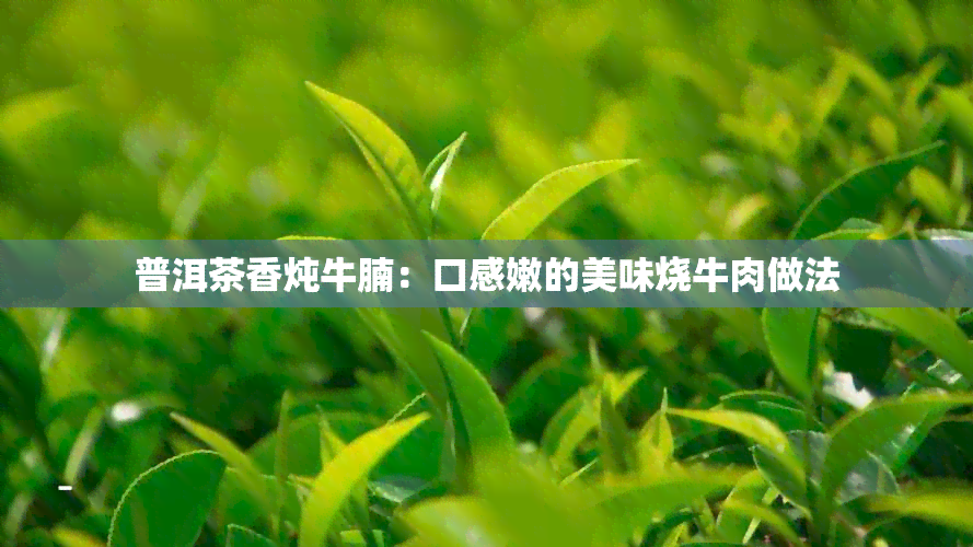 普洱茶香炖牛腩：口感嫩的美味烧牛肉做法