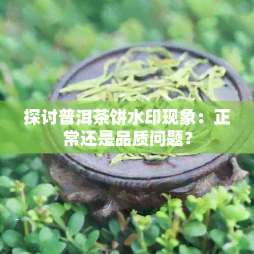 探讨普洱茶饼水印现象：正常还是品质问题？