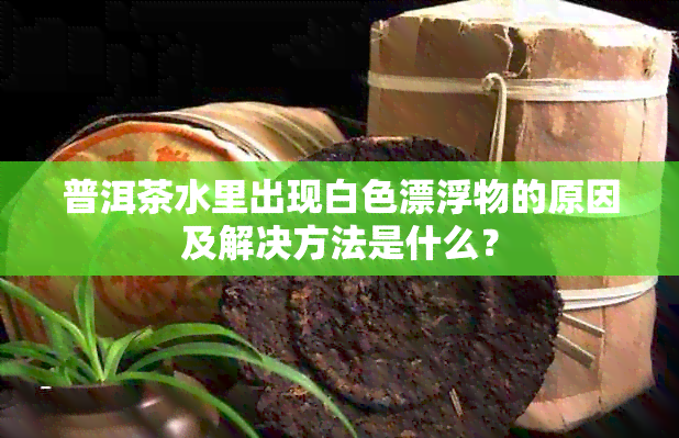 普洱茶水里出现白色漂浮物的原因及解决方法是什么？