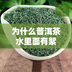 为什么普洱茶水里面有絮状物：探究普洱茶中悬浮物的原因