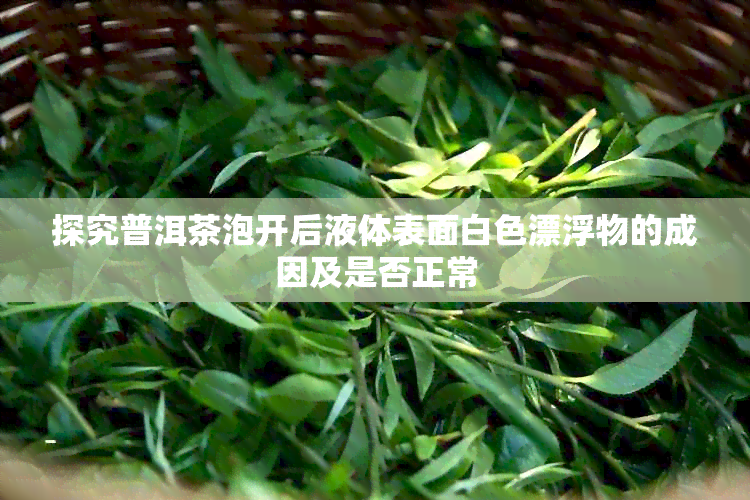 探究普洱茶泡开后液体表面白色漂浮物的成因及是否正常