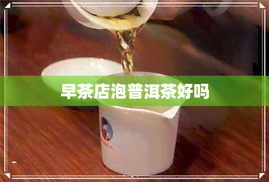 早茶店泡普洱茶好吗