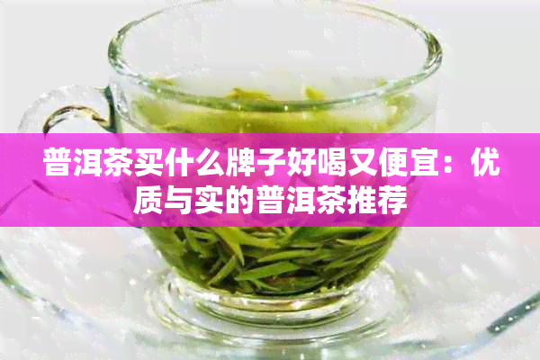 普洱茶买什么牌子好喝又便宜：优质与实的普洱茶推荐