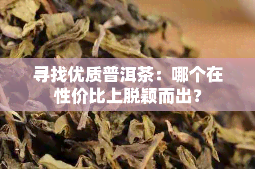 寻找优质普洱茶：哪个在性价比上脱颖而出？