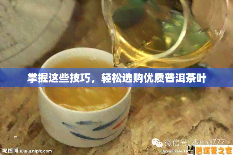 掌握这些技巧，轻松选购优质普洱茶叶