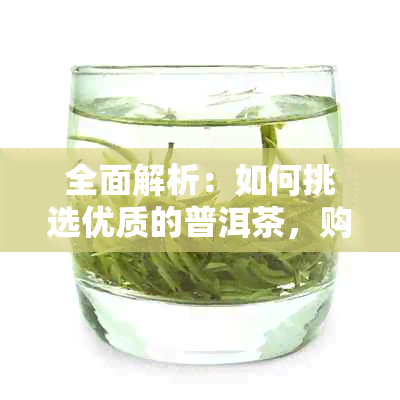 全面解析：如何挑选优质的普洱茶，购买时需注意的事项与建议