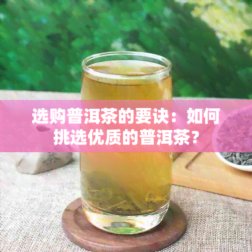 选购普洱茶的要诀：如何挑选优质的普洱茶？