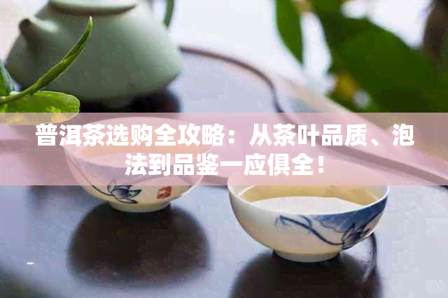 普洱茶选购全攻略：从茶叶品质、泡法到品鉴一应俱全！