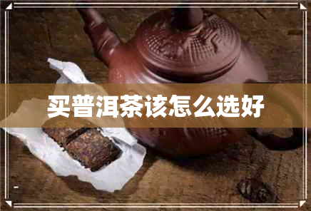 买普洱茶该怎么选好