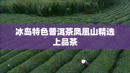 冰岛特色普洱茶凤凰山精选上品茶