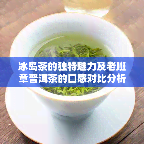 冰岛茶的独特魅力及老班章普洱茶的口感对比分析